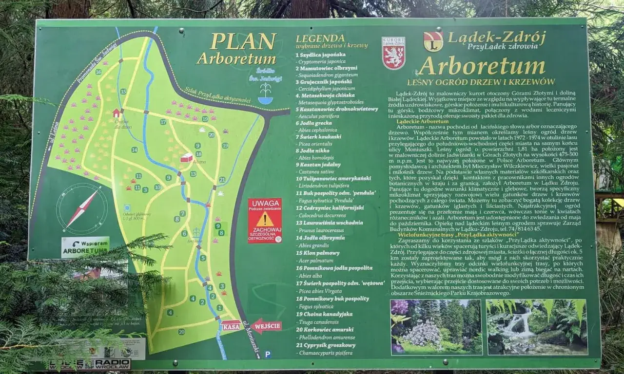 Plan Arboretum Lądek-Zdr&oacute;j z legendą drzew i krzew&oacute;w, opisem i mapą szlak&oacute;w.