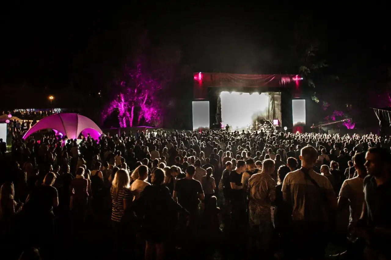 Tłumy ludzi na jednym z festiwali muzycznych w Polsce. Scena oświetlona, w tle fioletowe drzewa.