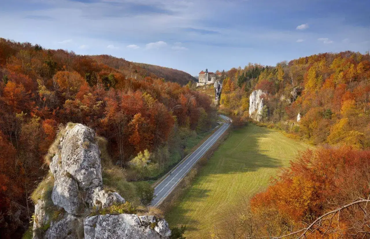 Jesienna droga przez Ojcowski Park Narodowy. Wśród kolorowych drzew widać ruiny zamku na skale i wapienne skałki. Ojcowski Park Narodowy atrakcje zachwycają.